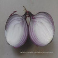 Fresh Onions Ton Price /Red Onions Importers